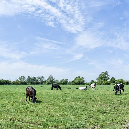 Green Acre Farm Ely Bagian luar foto