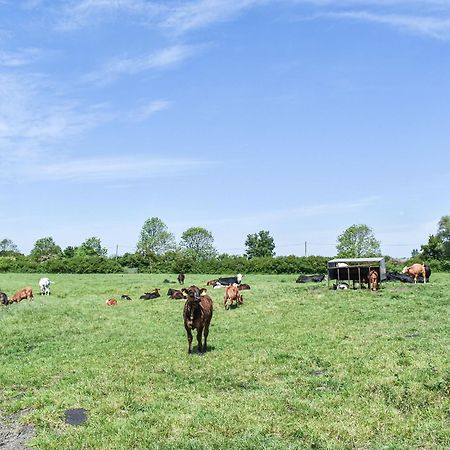 Green Acre Farm Ely Bagian luar foto